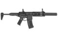 AR15 – Amoeba Silent – ARES – Černá